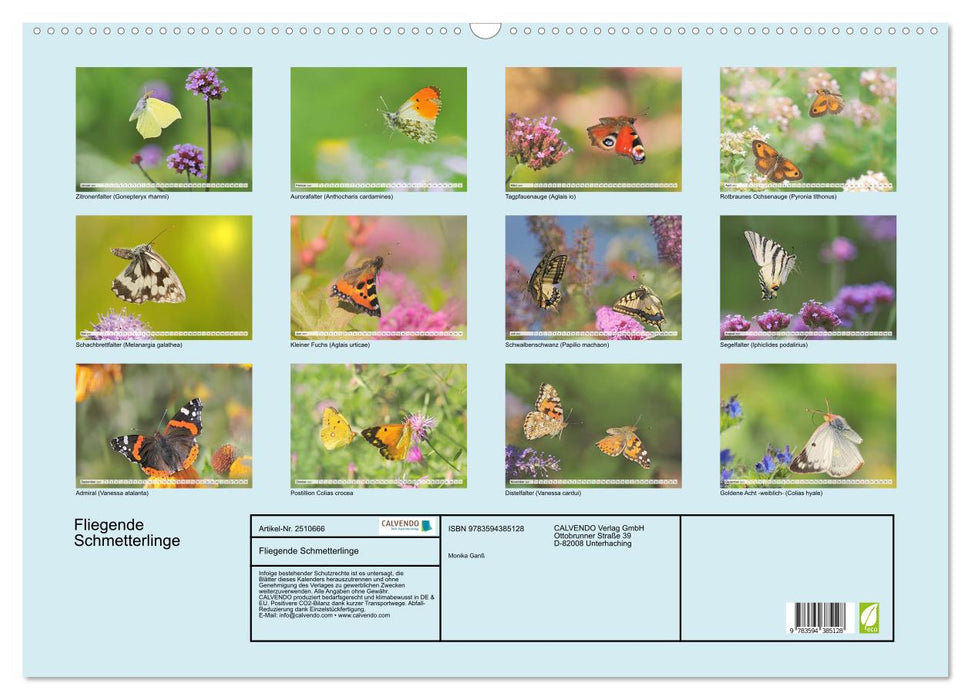 Fliegende Schmetterlinge (CALVENDO Wandkalender 2027)