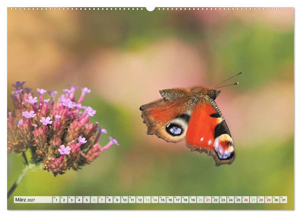 Fliegende Schmetterlinge (CALVENDO Wandkalender 2027)