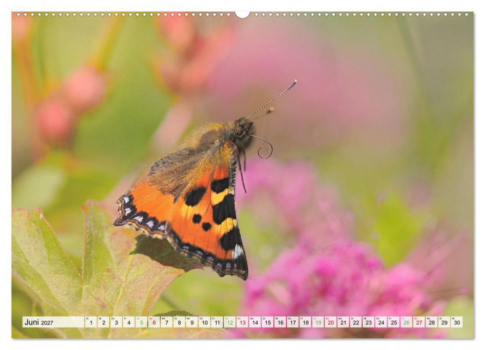 Fliegende Schmetterlinge (CALVENDO Wandkalender 2027)