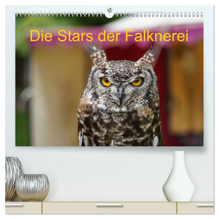 Die Stars der Falknerei (CALVENDO Premium Wandkalender 2027)