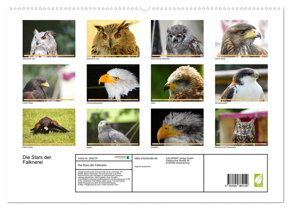 Die Stars der Falknerei (CALVENDO Premium Wandkalender 2027)