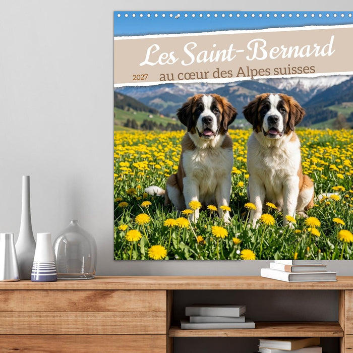 Les Saint-Bernard au cœur des Alpes suisses (CALVENDO Calendrier mensuel 2027)