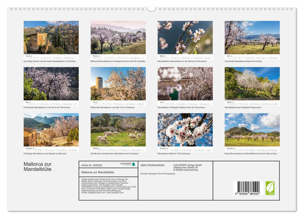 Mallorca zur Mandelblüte (CALVENDO Premium Wandkalender 2027)