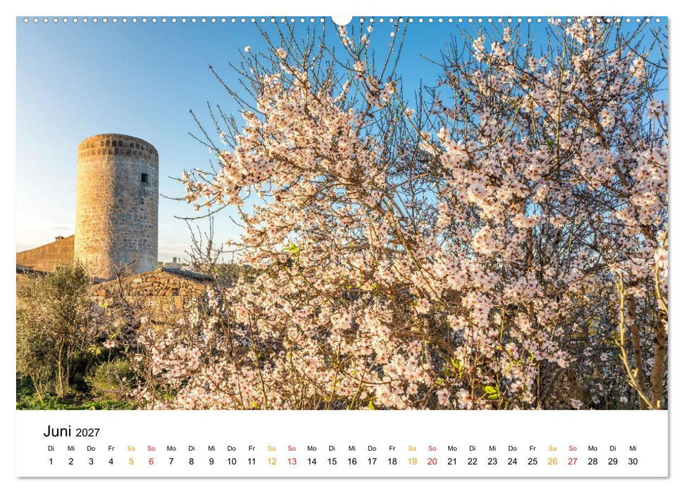Mallorca zur Mandelblüte (CALVENDO Premium Wandkalender 2027)
