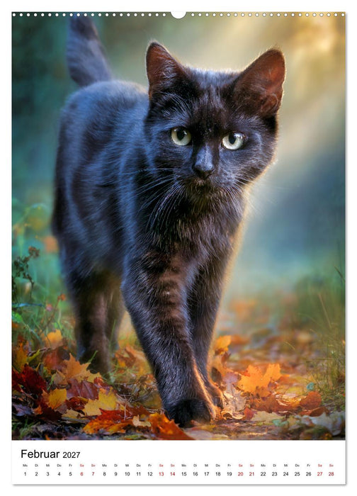 Von wegen Unglück! - Die faszinierende Welt schwarzer Katzen (CALVENDO Premium Wandkalender 2027)
