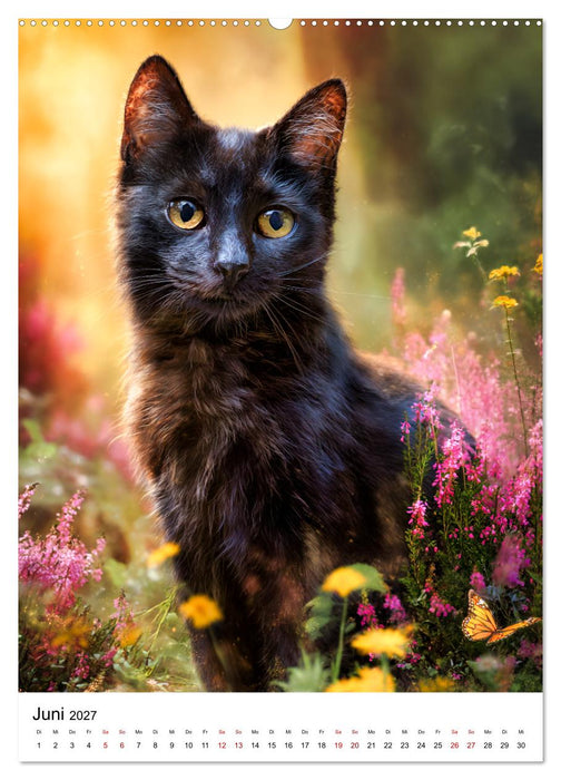 Von wegen Unglück! - Die faszinierende Welt schwarzer Katzen (CALVENDO Premium Wandkalender 2027)