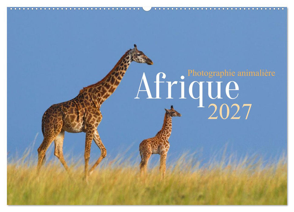 Afrique – Photographie animalière (CALVENDO Calendrier mensuel 2027)