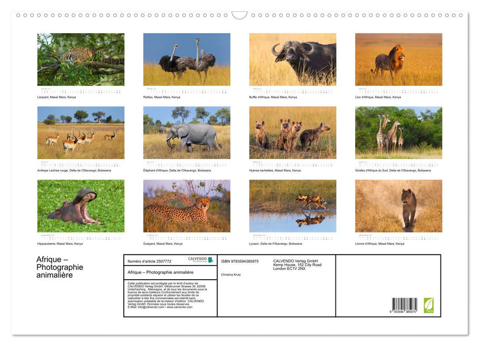 Afrique – Photographie animalière (CALVENDO Calendrier mensuel 2027)