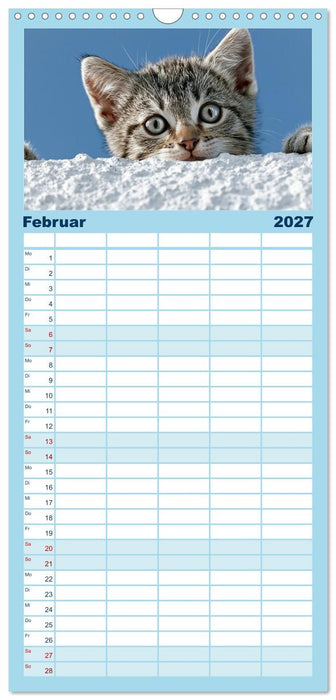 Neugierig auf das Leben! (CALVENDO Familienplaner 2027)