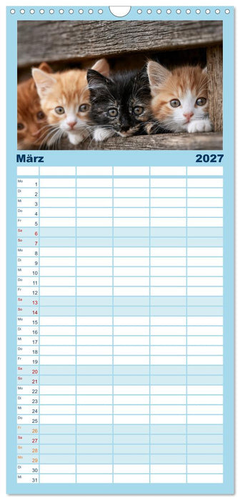 Neugierig auf das Leben! (CALVENDO Familienplaner 2027)