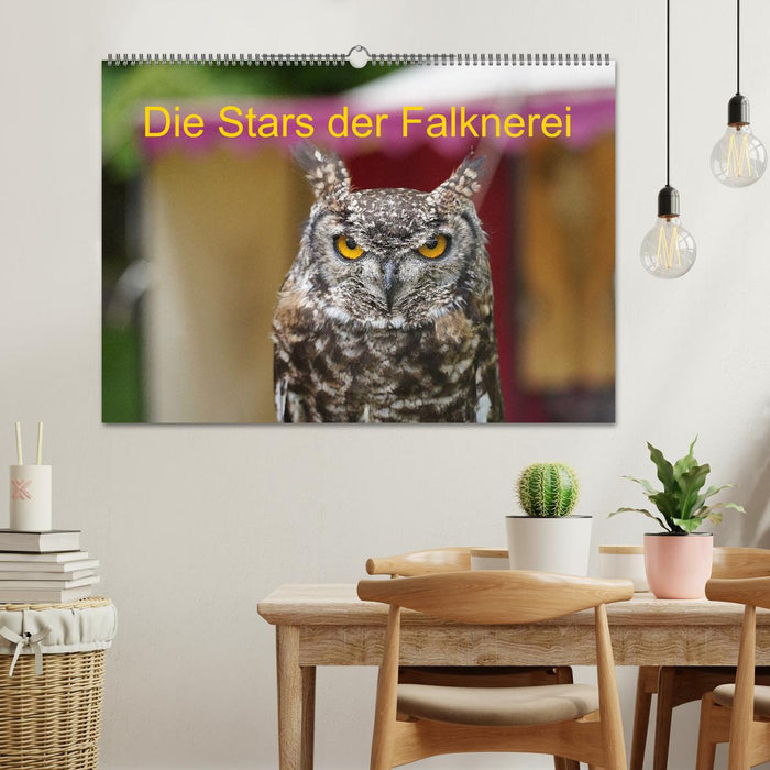 Die Stars der Falknerei (CALVENDO Wandkalender 2027)