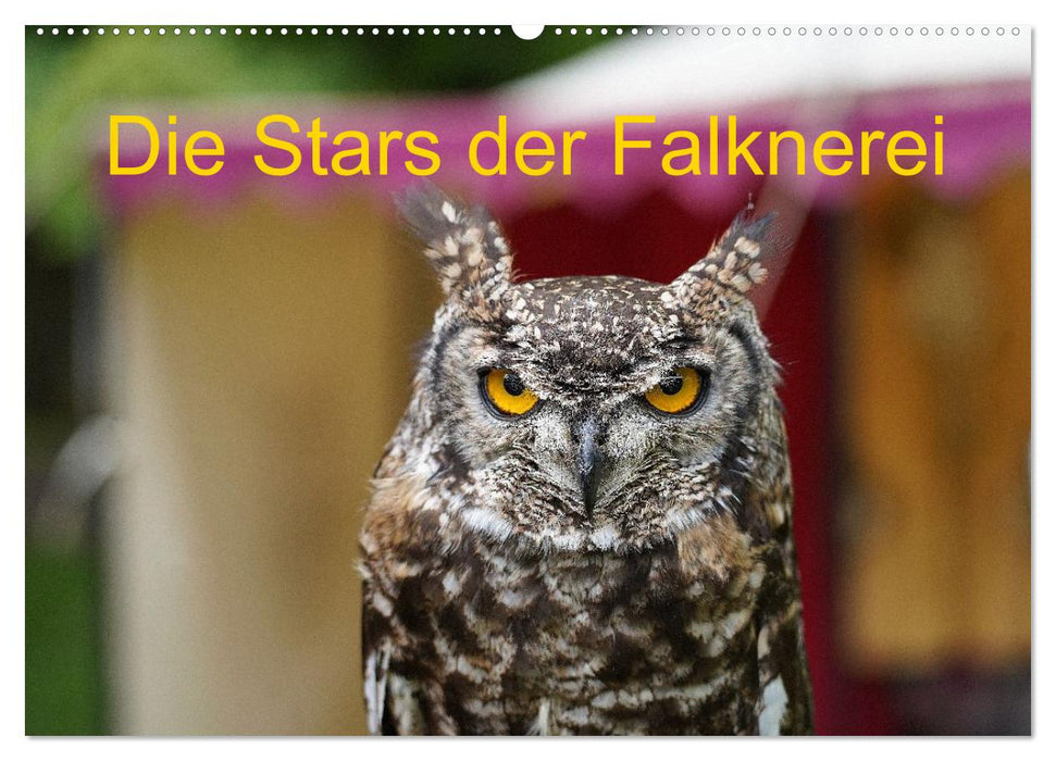 Die Stars der Falknerei (CALVENDO Wandkalender 2027)