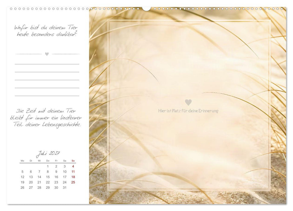 Mein Erinnerungsjahr - Zum Bewahren der Erinnerungen an mein geliebtes Tier (CALVENDO Premium Wandkalender 2027)