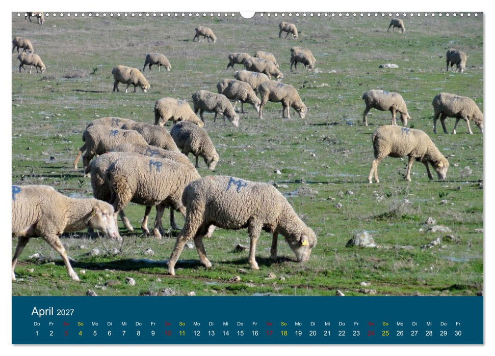 Spanische Provinzen - Extremadura (CALVENDO Wandkalender 2027)