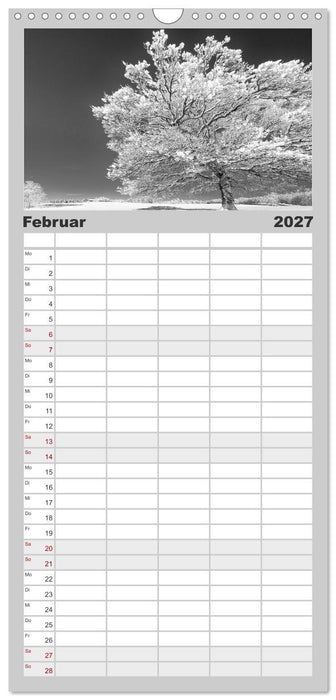 Traumhafte Allgäuer Alpen (CALVENDO Familienplaner 2027)