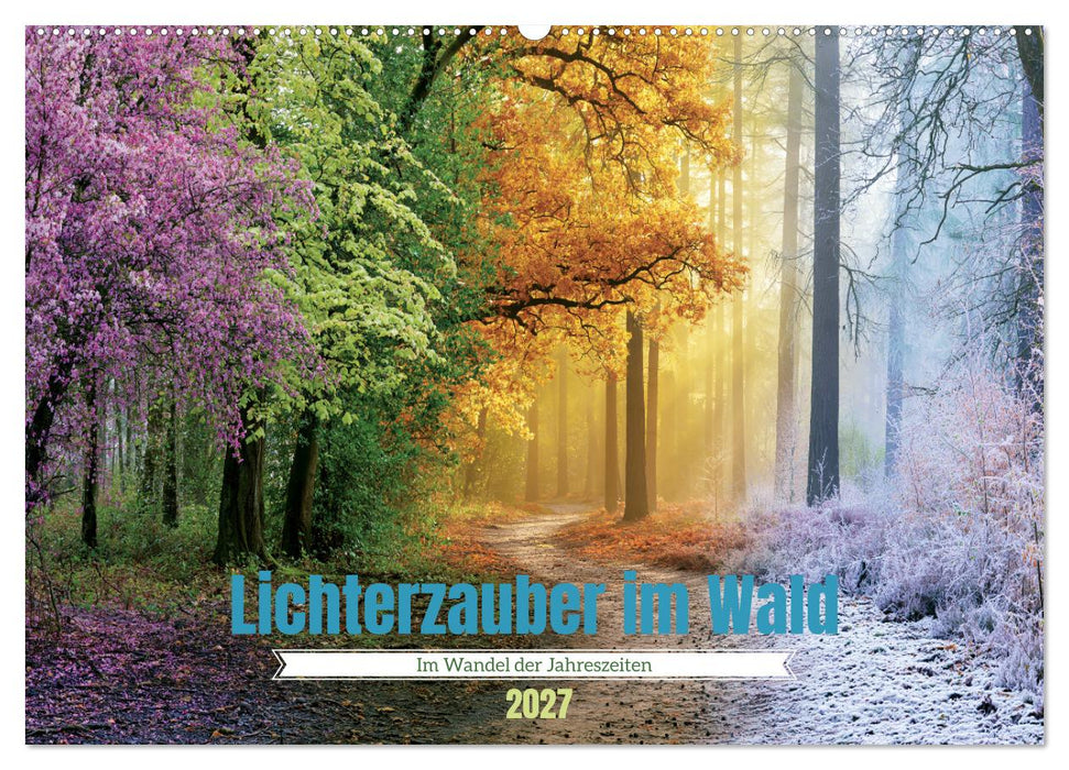 Lichterzauber im Wald (CALVENDO Wandkalender 2027)