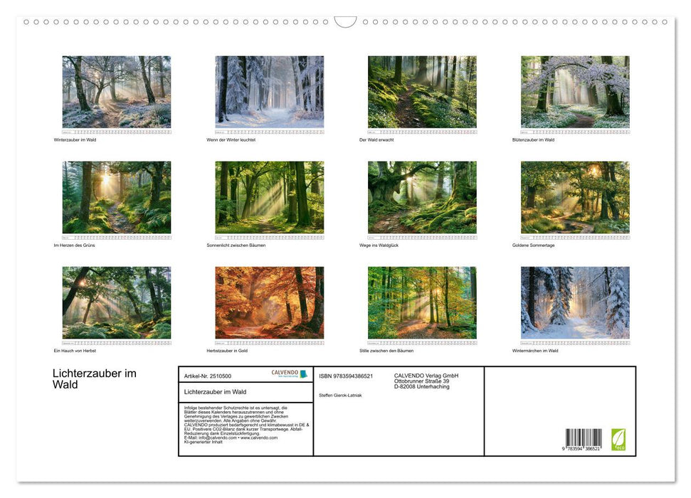 Lichterzauber im Wald (CALVENDO Wandkalender 2027)