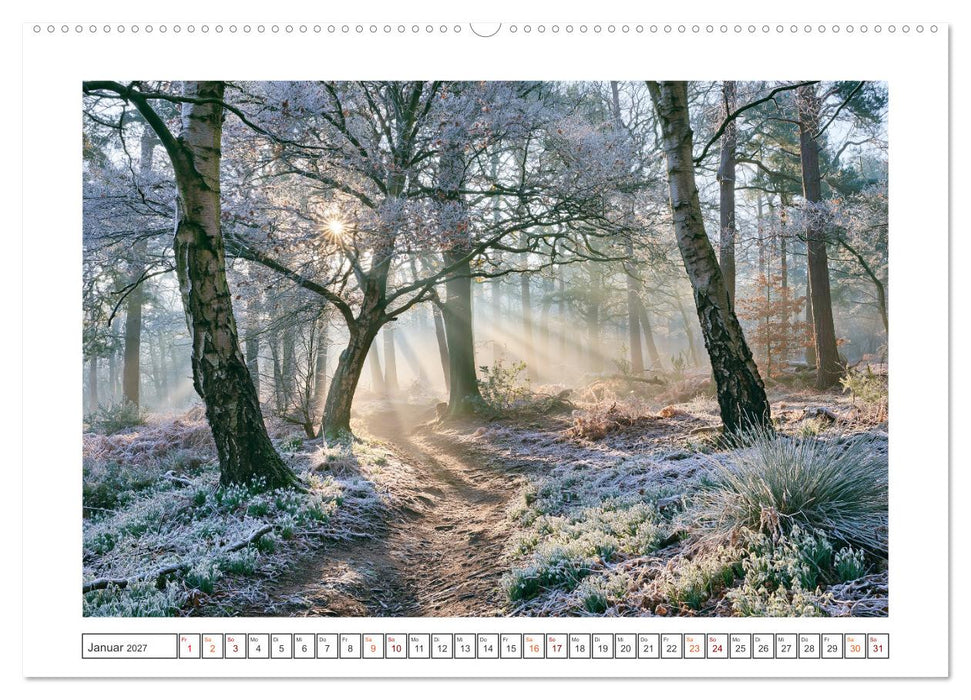 Lichterzauber im Wald (CALVENDO Wandkalender 2027)