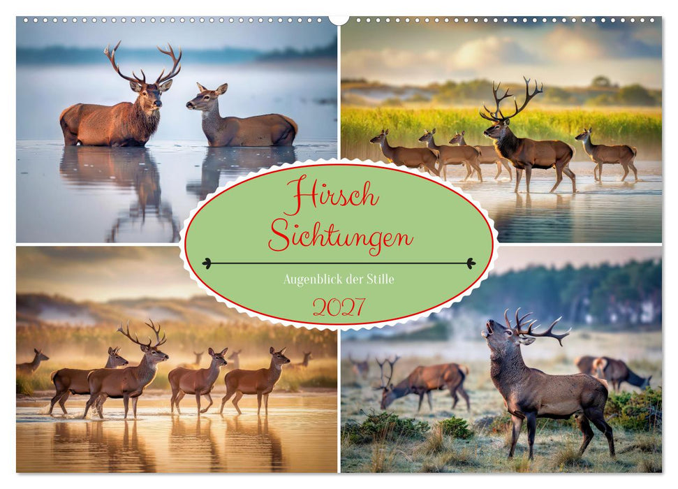 Hirsch Sichtungen (CALVENDO Wandkalender 2027)