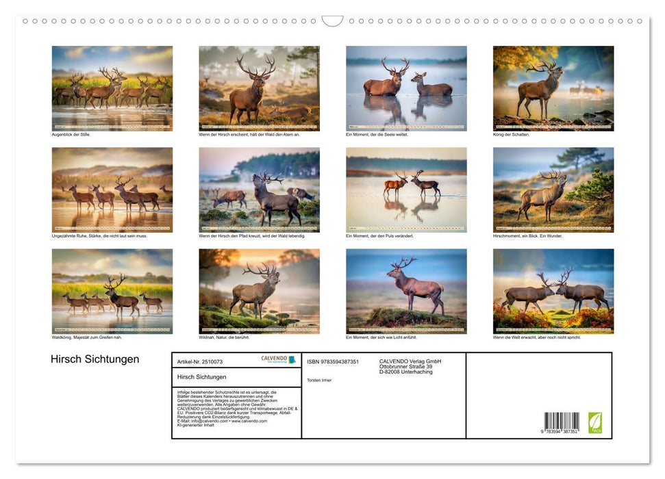 Hirsch Sichtungen (CALVENDO Wandkalender 2027)