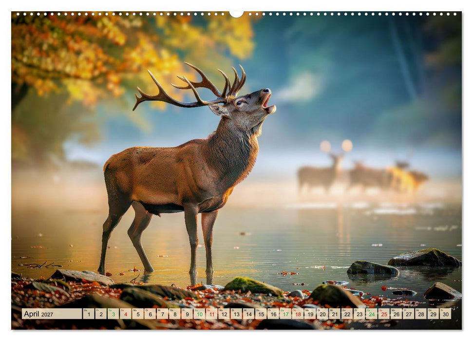 Hirsch Sichtungen (CALVENDO Wandkalender 2027)
