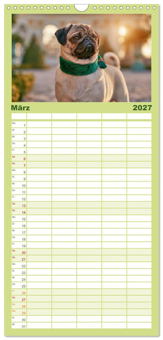 Edle Möpse (CALVENDO Familienplaner 2027)