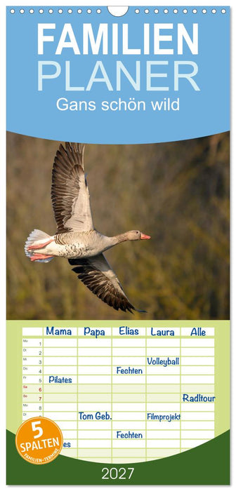 Gans schön wild (CALVENDO Familienplaner 2027)