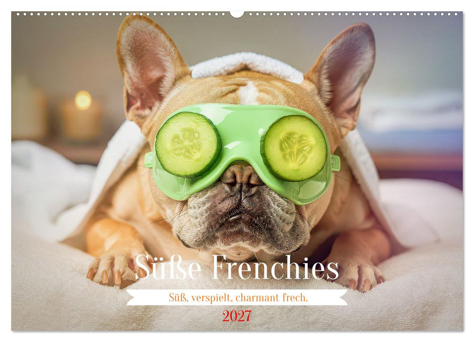 Süße Frenchies (CALVENDO Wandkalender 2027)