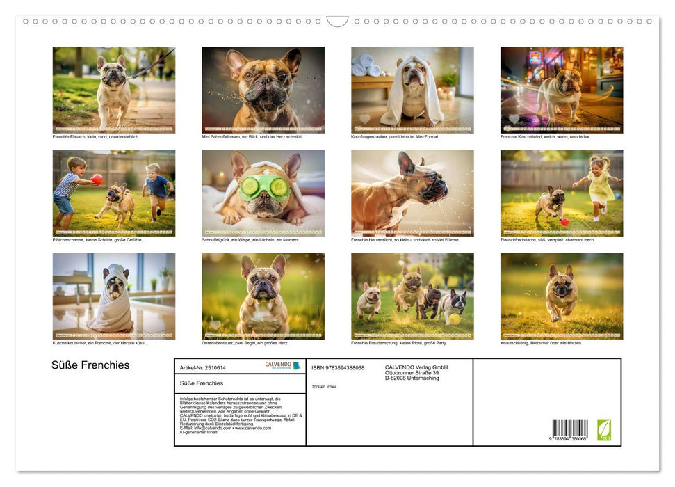 Süße Frenchies (CALVENDO Wandkalender 2027)
