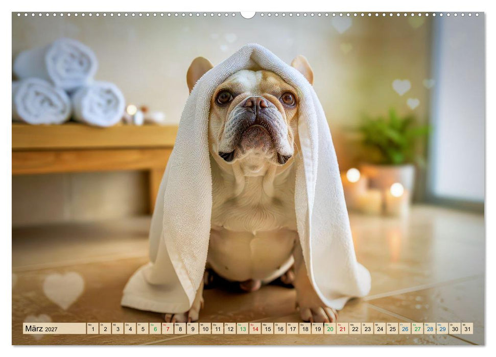Süße Frenchies (CALVENDO Wandkalender 2027)