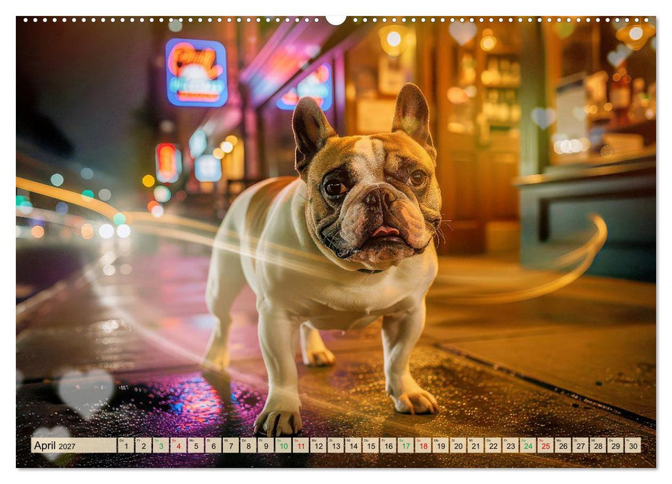 Süße Frenchies (CALVENDO Wandkalender 2027)