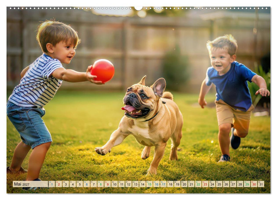 Süße Frenchies (CALVENDO Wandkalender 2027)
