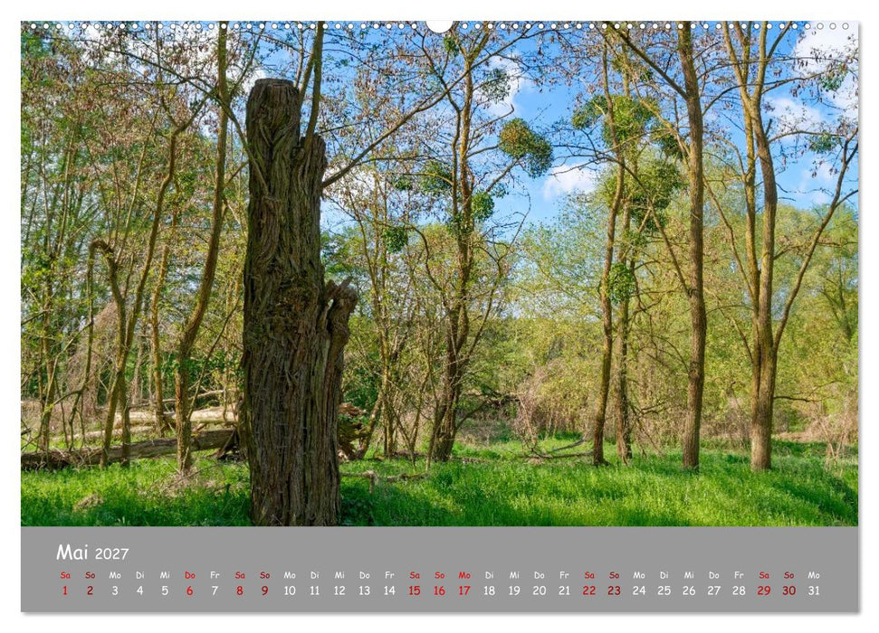 Biosphärenreservat Schorfhede-Chorin (CALVENDO Wandkalender 2027)