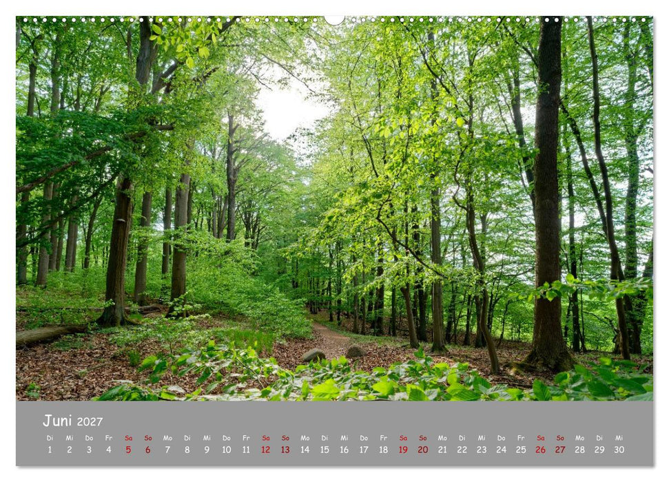 Biosphärenreservat Schorfhede-Chorin (CALVENDO Wandkalender 2027)