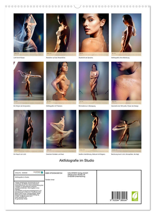Aktfotografie im Studio (CALVENDO Premium Wandkalender 2027)