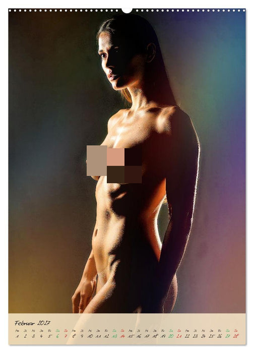Aktfotografie im Studio (CALVENDO Premium Wandkalender 2027)