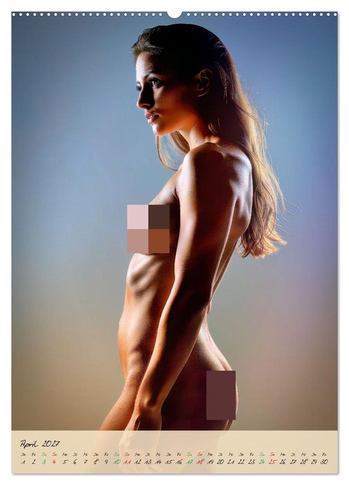 Aktfotografie im Studio (CALVENDO Premium Wandkalender 2027)