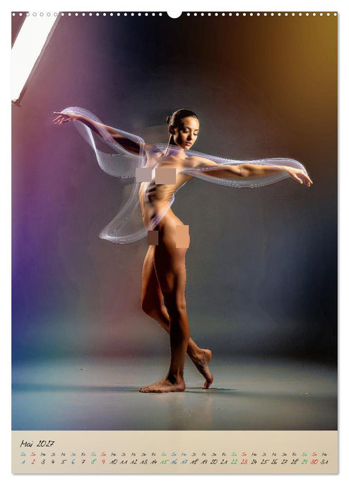 Aktfotografie im Studio (CALVENDO Premium Wandkalender 2027)