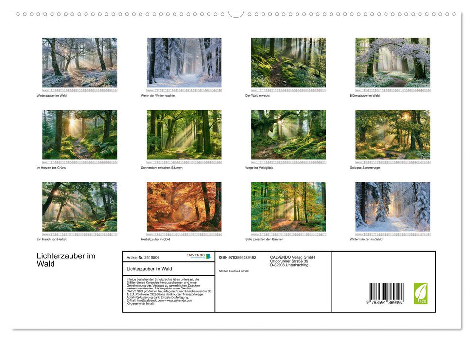 Lichterzauber im Wald (CALVENDO Premium Wandkalender 2027)