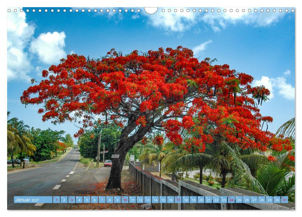 Guadeloupe – Auszeit auf der Schmetterlings-Insel (CALVENDO Wandkalender 2027)