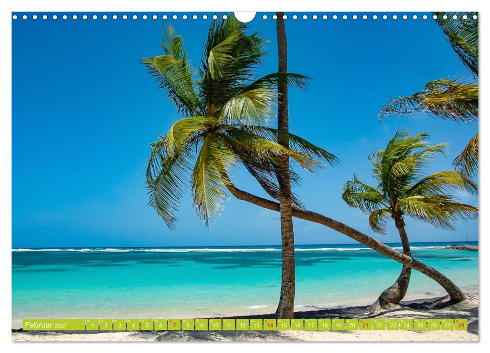 Guadeloupe – Auszeit auf der Schmetterlings-Insel (CALVENDO Wandkalender 2027)