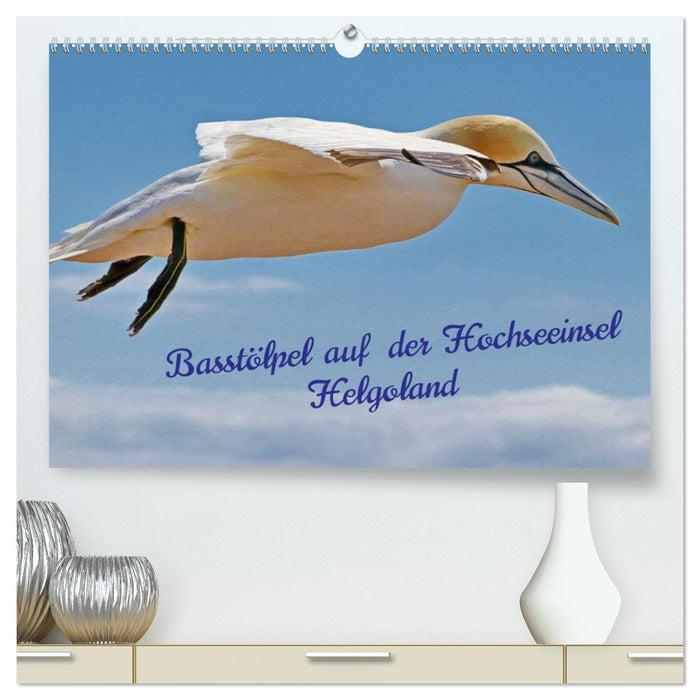 Basstölpel auf der Hochseeinsel Helgoland (CALVENDO Premium Wandkalender 2027)