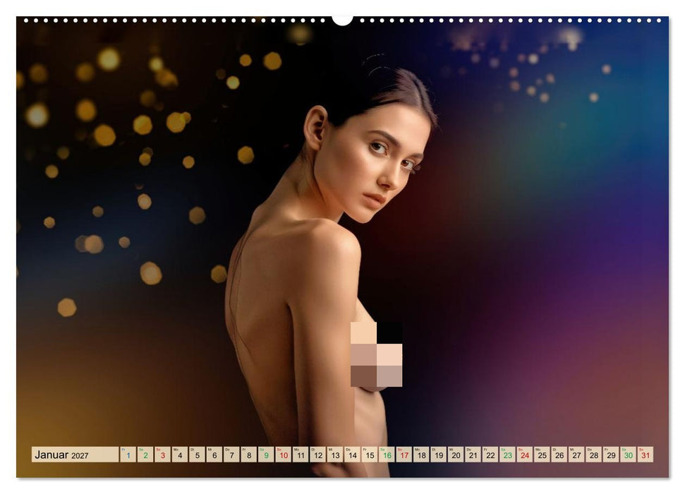 Fine Art Aktporträt (CALVENDO Wandkalender 2027)