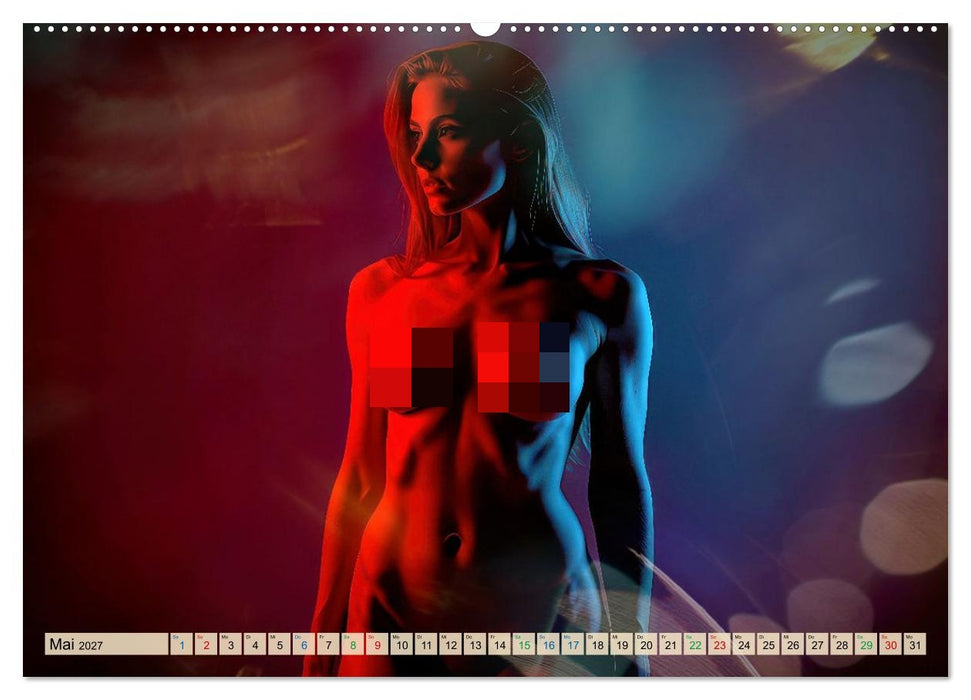 Fine Art Aktporträt (CALVENDO Wandkalender 2027)