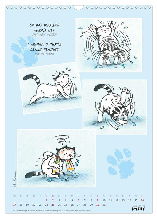 Kater Jacob: Ach Du lieber Mensch (CALVENDO Wandkalender 2027)
