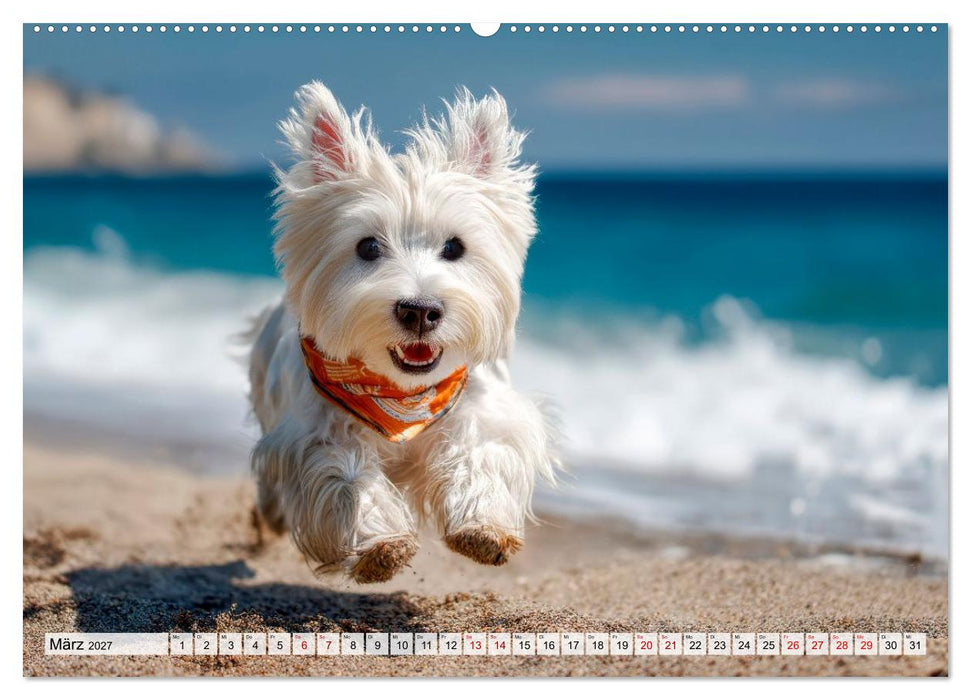 Westies zum Verlieben (CALVENDO Wandkalender 2027)