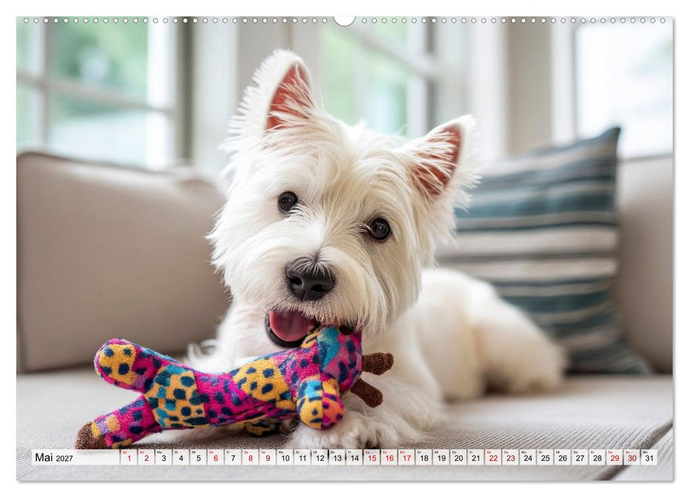 Westies zum Verlieben (CALVENDO Wandkalender 2027)