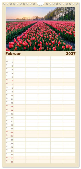 Im Zauber der Niederlande - Tulpenmeer und Windmühlen (CALVENDO Familienplaner 2027)