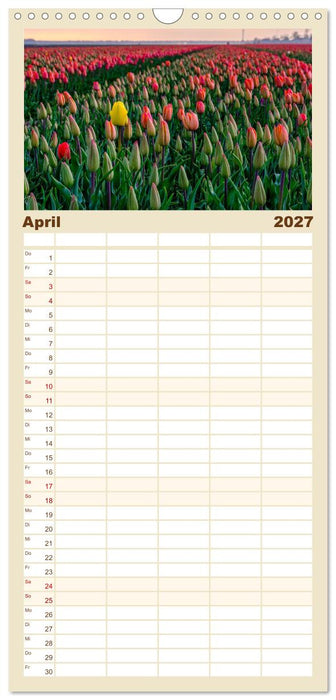 Im Zauber der Niederlande - Tulpenmeer und Windmühlen (CALVENDO Familienplaner 2027)
