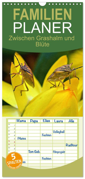 Zwischen Grashalm und Blüte (CALVENDO Familienplaner 2027)